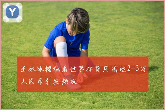王冰冰揭秘看世界杯费用高达2-3万人民币引发热议